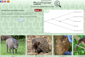 capture d'écran de PhyloTrainer